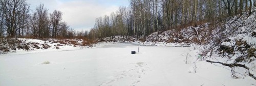Ryb_17.01.2018-2.jpg