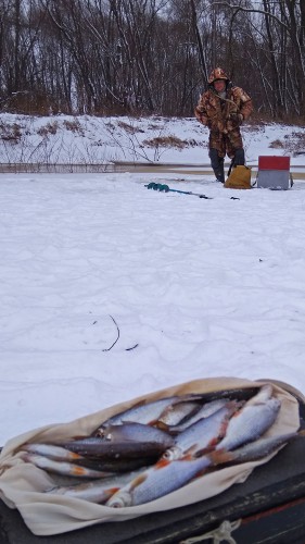 Ryb_21.01.2018-3.jpg