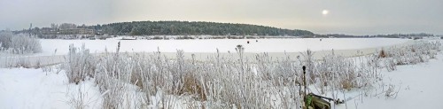 Ryb_23.01.2018-2.jpg
