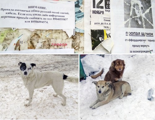 Ryb_23.01.2018-5.jpg