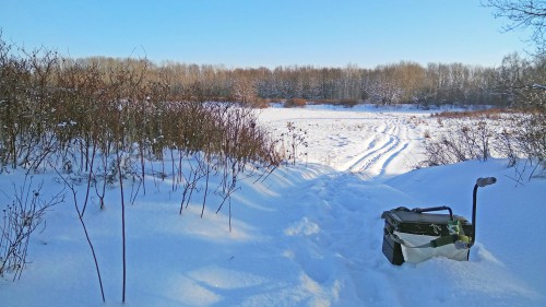 Ryb_25.01.2018-3.jpg
