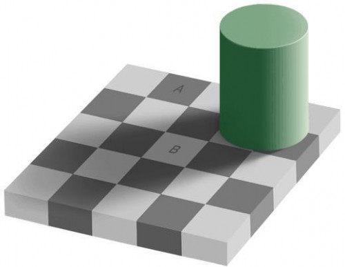 2239304.jpg