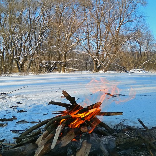 Ryb_25.01.2018-5.jpg