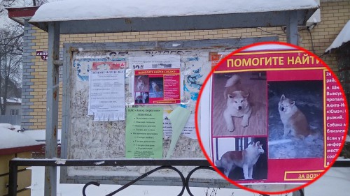 Ryb_30.01.2018-4.jpg