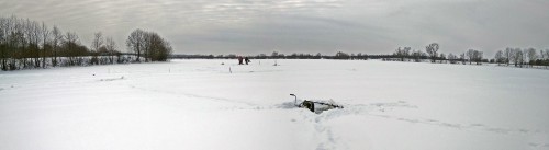 Ryb_01.02.2018-2.jpg