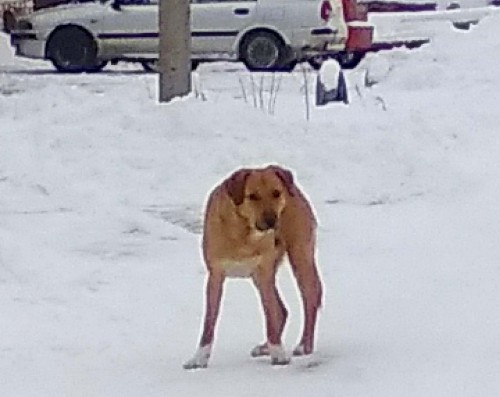 Ryb_02.02.2018-7.jpg