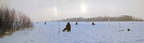 Ryb_08.02.2018-1.jpg