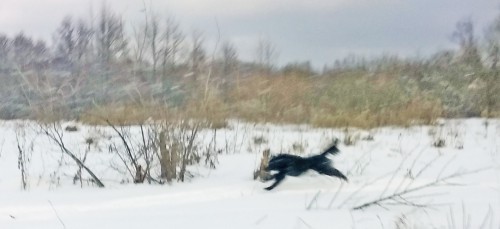 Ryb_08.02.2018-5.jpg