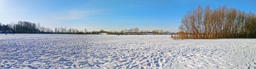 Ryb_11.02.2018-1.jpg
