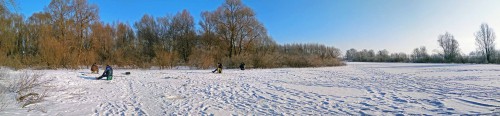 Ryb_13.02.2018-1.jpg