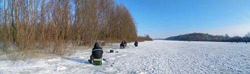 Ryb_13.02.2018-2.jpg