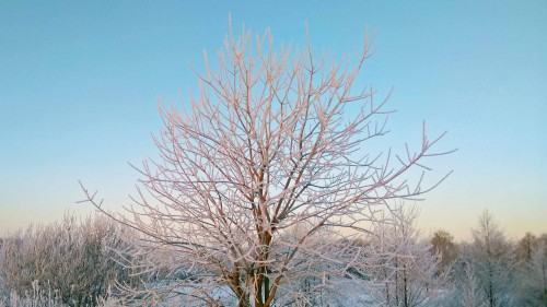 Ryb_14.02.2018-4.jpg