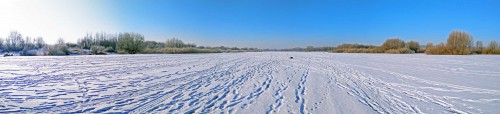 Ryb_14.02.2018-5.jpg