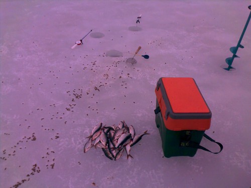 IMAG0075.jpg