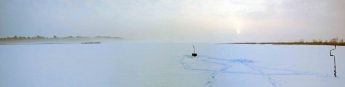 Ryb_20.02.2018-1.jpg