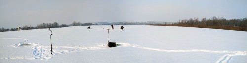 Ryb_20.02.2018-2.jpg