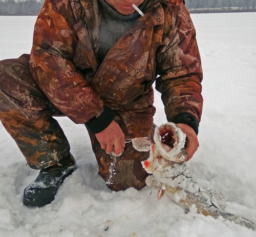 Ryb_20.02.2018-3.jpg