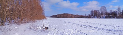 Ryb_22.02.2018-3.jpg