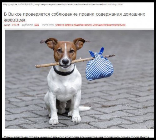 Ryb_22.02.2018-8.jpg