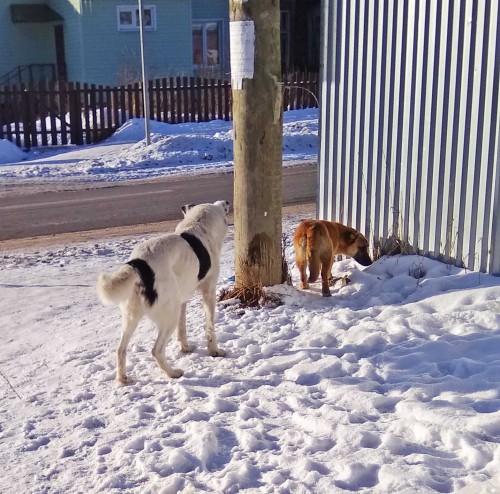 Ryb_24.02.2018-9.jpg
