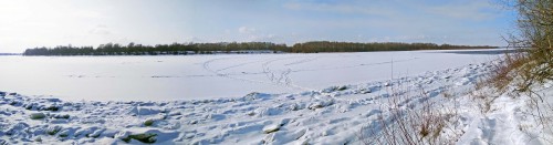 Ryb_26.02.2018-3.jpg