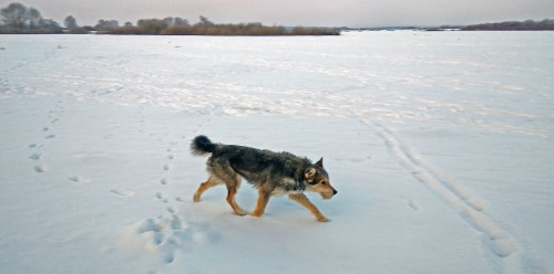 Ryb_26.02.2018-5.jpg