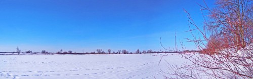 Ryb_01.03.2018-6.jpg