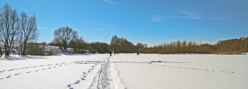 Ryb_06.03.2018-2.jpg