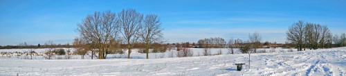 Ryb_14.03.2018-5.jpg