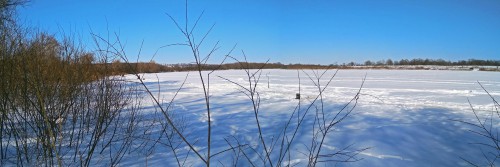 Ryb_18.03.2018-3.jpg
