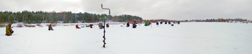Ryb_20.03.2018-3.jpg