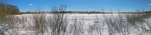 Ryb_29.03.2018-1.jpg