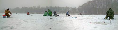 Ryb_01.04.2018-3.jpg