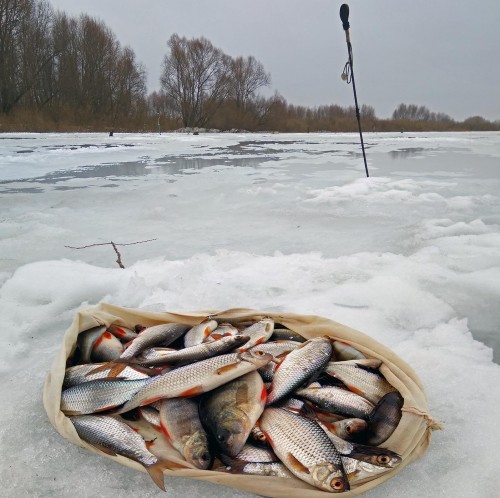 Ryb_03.04.2018-4.jpg
