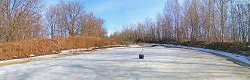 Ryb_08.04.2018-3.jpg
