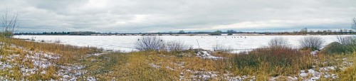Ryb_11.04.2018-2.jpg