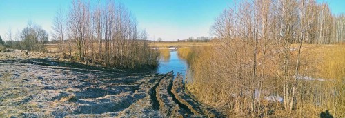 Ryb_12.04.2018-1.jpg