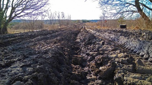 Ryb_14.04.2018-1.jpg