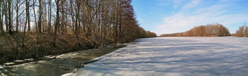 Ryb_14.04.2018-2.jpg