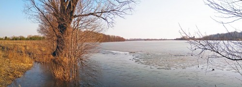 Ryb_16.04.2018-1.jpg