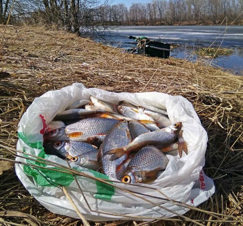 Ryb_16.04.2018-4.jpg