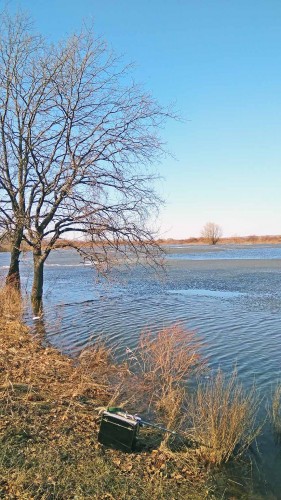 Les_20.04.2018-5.jpg