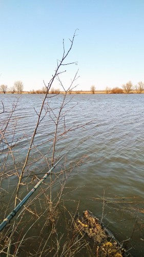 Les_20.04.2018-6.jpg