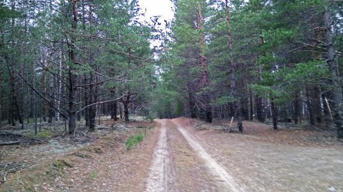 Ryb_21.04.2018-2.jpg