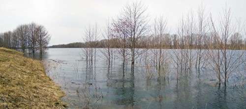 Ryb_25.04.2018-3.jpg