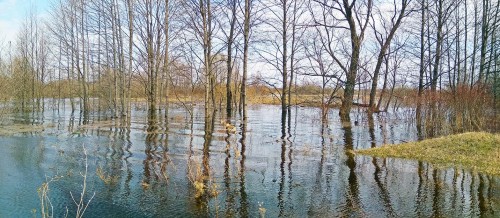Ryb_25.04.2018-4.jpg