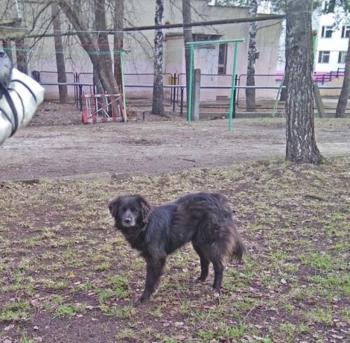 Ryb_27.04.2018-8.jpg