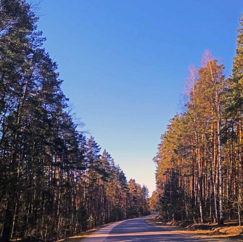 Ryb_29.04.2018-2.jpg