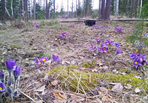 Ryb_29.04.2018-4.jpg
