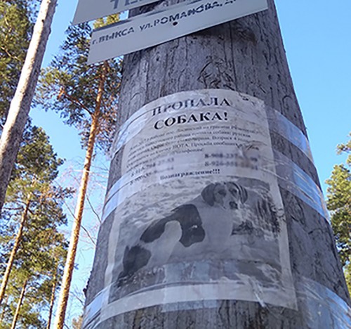 Ryb_29.04.2018-7.jpg